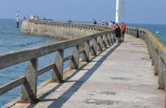 Gîte "Au P'tit Tourois" de plain-pied tout confort avec véranda proche d'Omaha Beach et de Bayeux accueillant les animaux - Foto 44