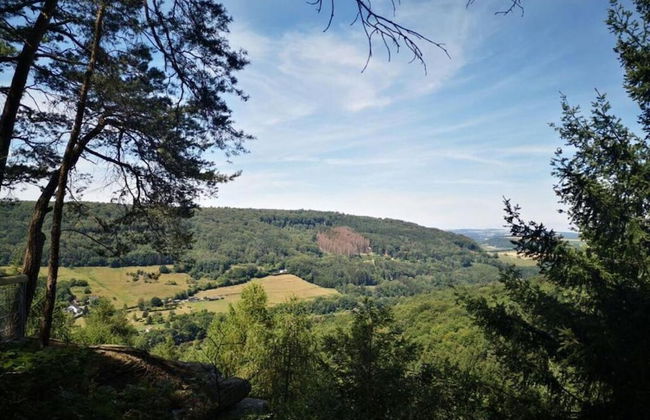 Holiday Home Fabryshof in Bollendorf - Foto 40