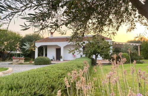 Villa Garden - Foto 4