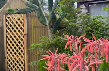 Creatives Retreat for Artists & Lovers - Foto 25