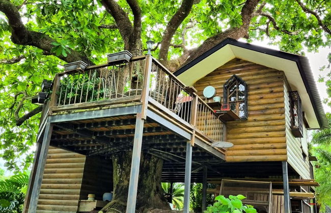 Quinta Pavo Real Complex by Acomodo - Foto 60