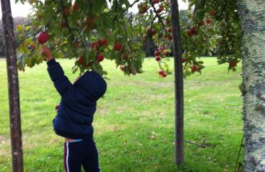 Gîtes de La Ferme De Kereven - Foto 40