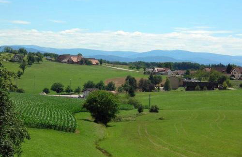 Fewo Siglinde Schneider - Foto 22