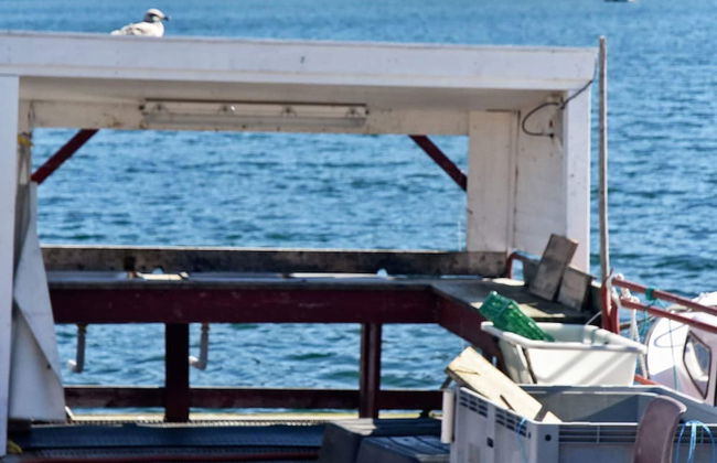 6 Person Holiday Home in Oksvoll - Foto 15