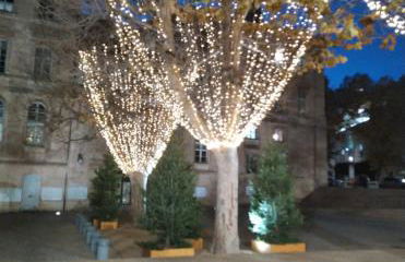 PETIT BONHEUR Au COEUR DU VIEUX PORT - Foto 19