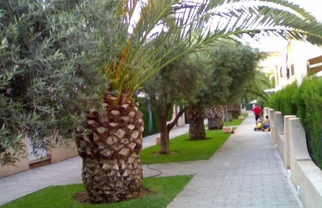 Urbanizacion El Molins - Foto 7