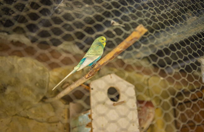 B&B Baby y Jose - Foto 50