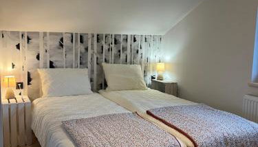 Domki Pod Brzozami Ustroń 2 - Foto 2