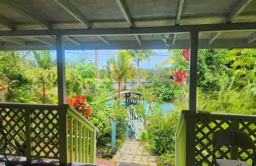 Fully renovated 4 bd with 2 master suits, 3 bth home in centralized location - Foto 28