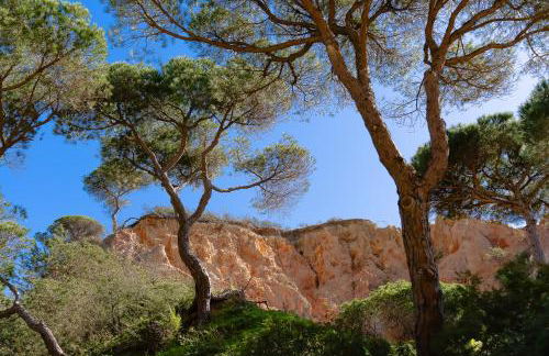 Apartament Belharucas, 400 meters from beach - Foto 64