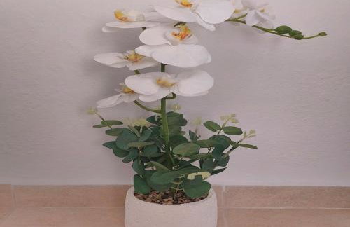 Gousios Apartments - Foto 17