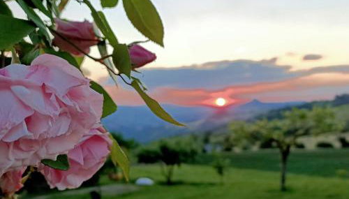 Agriturismo La Casetta - ospitalità rurale familiare - Foto 3, Garden