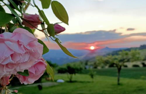 Agriturismo La Casetta - ospitalità rurale familiare - Foto 3