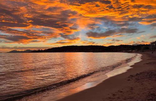 Domaine Juan Flore - Foto 35