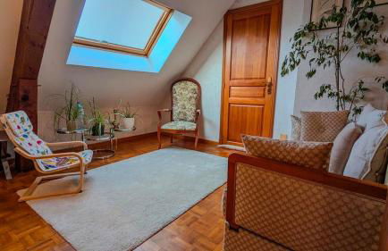 Gîte Le Grand Albizia - Foto 20