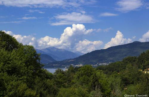 Natura tra bosco e lago - Foto 39