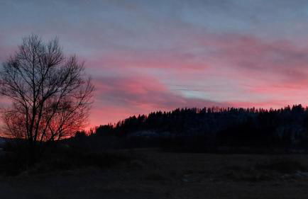 Ferien-und Monteurwohnung 'Friedersdorfer Mühle' - Foto 37