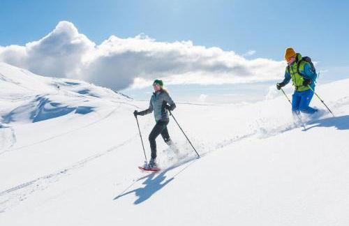 Ciasa Rosra - Foto 11