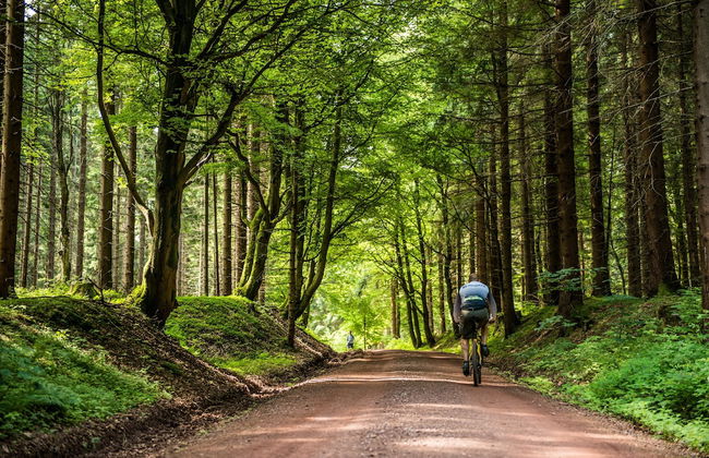 Ferienhaus Lichtung - Photo 74