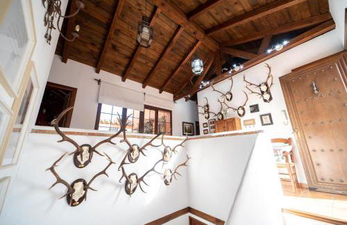 La Jacaranda - Foto 21