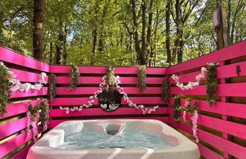 The Pod-Hot Tub-Woodland Lodges-St Clears-Carmarthen - Foto 2