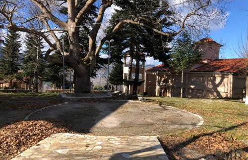 Helmos View - Relaxation & Nature - Foto 26