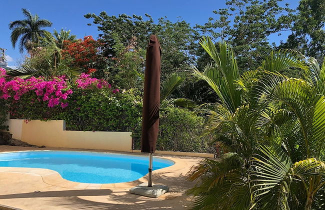 Black River Villa Turquoise 3bdr, sea View - Photo 35