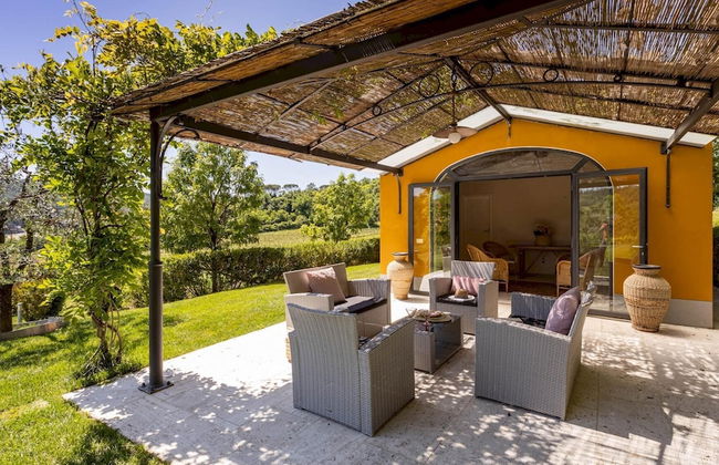 Le Querce Dei Medici 12 2 - Foto 54