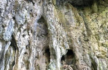 AHeritage 5 - Foto 50