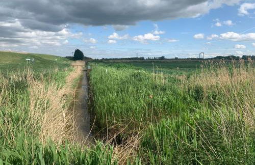 Elm Cottage at Gravel Farm - Photo 26