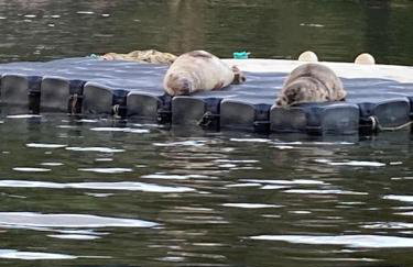 The Captain's House - Foto 24