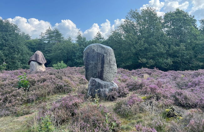 Stay at This Beautiful Accommodation in De Kiel - Photo 19