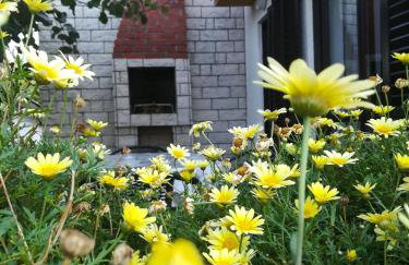 Apartments Eliva - Foto 14