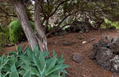 Las Sabinas Villa - El Guincho, Garachico - Foto 41