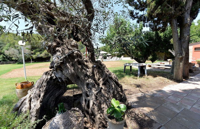 Agriturismo Santa Chiara - Foto 64