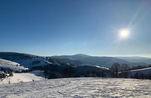 Schwarzwaldhimmel - Foto 37