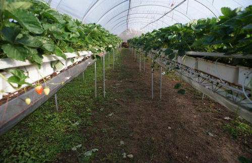 Corte Breda Agriturismo Bed & Breakfast - Foto 35