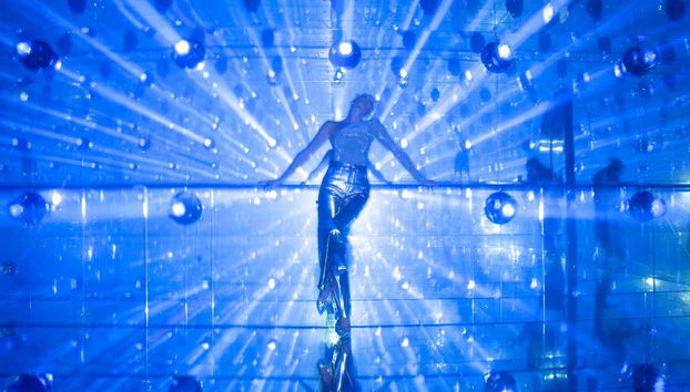 Admire the vivid colours