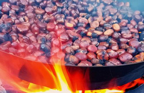 FeWo Passo-Palade - Foto 62