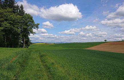 Schöne EinliegerWhg (74m²) in Villa mit Traumlage - Foto 47