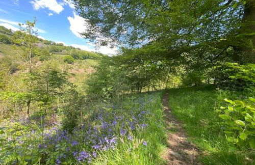 The Crest Hillside Retreat With Hot Tub - Foto 39