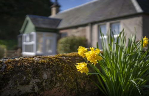 Clayhills Cottage - Photo 28