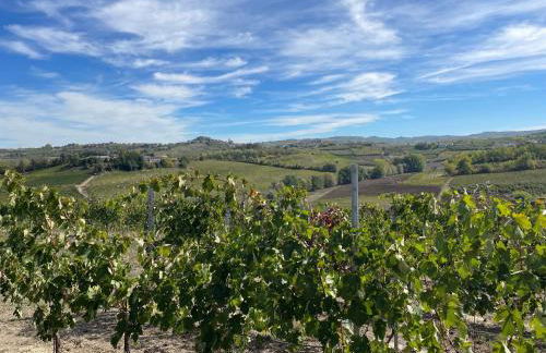 Locazione turistica Cascina Pela - Foto 11