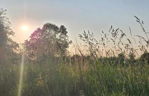 2 High Silver House - Foto 44