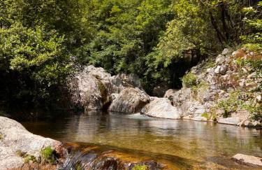 La Lusette-Malaparade - Foto 53