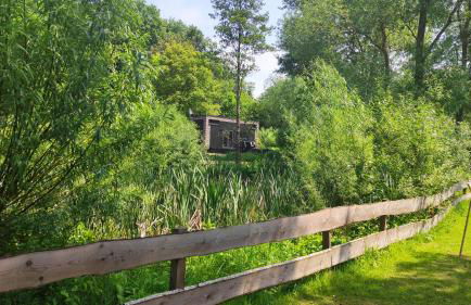 Tiny House 14 - Sollberg - Foto 11