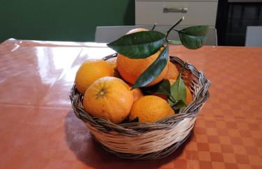 Casa Badia - Foto 25