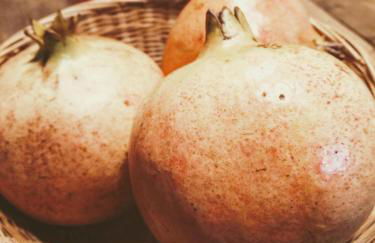 Masseria Cataldo - Foto 53