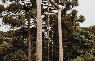 Reserva Cabanas - Foto 118