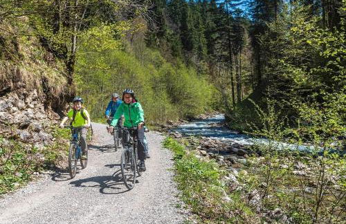 Ferienwohnung Nr 2, neben einem Bauernhof, Roßhaupten, Allgäu - Photo 16